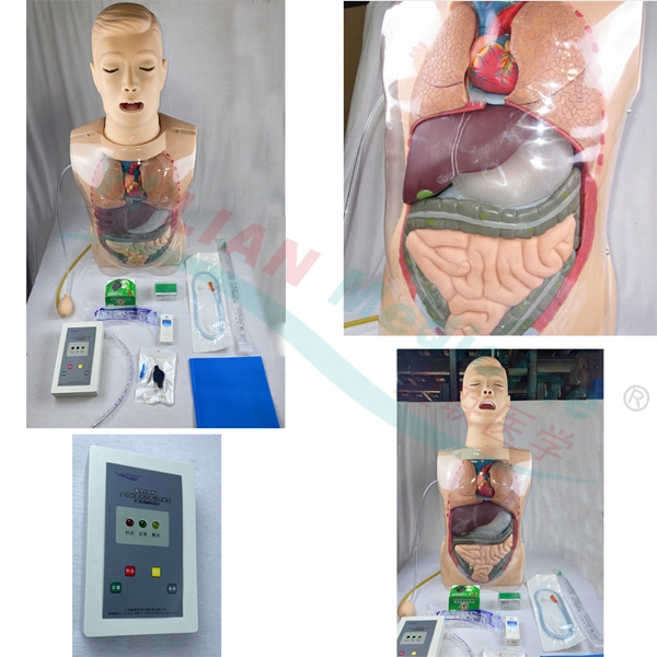 多功能透明洗胃训练模型