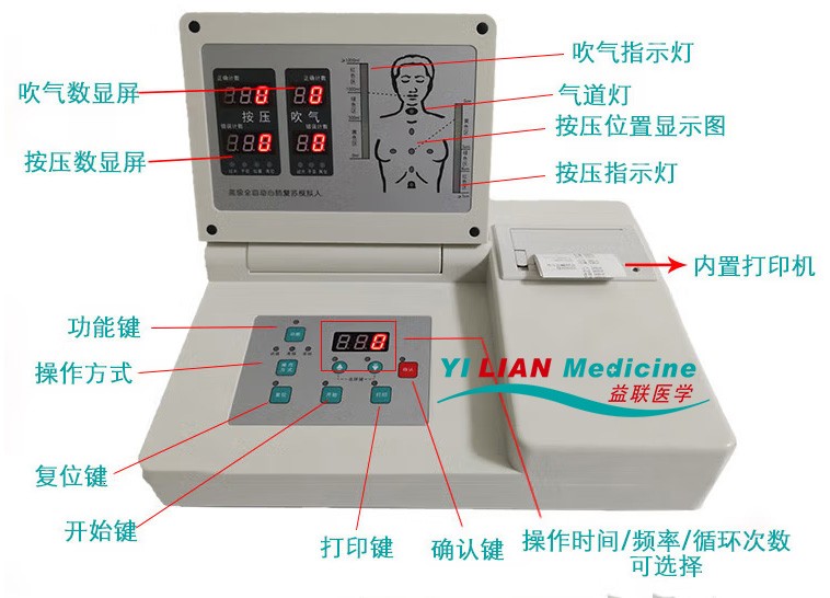 分娩综合技能训练模型